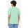 textil Herr T-shirts & Pikétröjor Dickies Ss mapleton t-shirt Grön