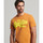 textil Herr T-shirts & Pikétröjor Superdry Vintage vl neon Brun