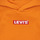 textil Pojkar Sweatshirts Levi's LVN BOXTAB PULLOVER HOODIE Orange