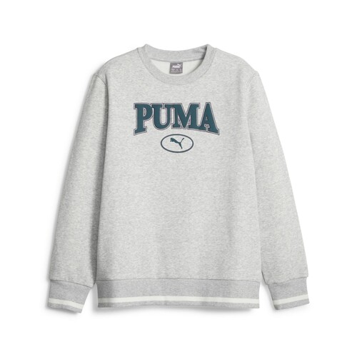 textil Pojkar Sweatshirts Puma PUMA SQUAD CREW FL B Grå