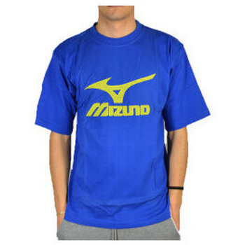 textil Herr T-shirts & Pikétröjor 13 Mizuno t.shirt logo Blå