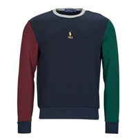 textil Herr Sweatshirts Polo Ralph Lauren SWEAT COL ROND EN DOUBLE KNIT TECH Flerfärgad