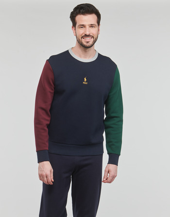 textil Herr Sweatshirts Polo Ralph Lauren SWEAT COL ROND EN DOUBLE KNIT TECH Flerfärgad