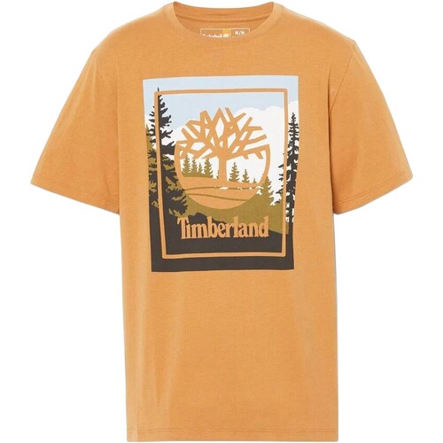 textil Herr T-shirts Timberland 212160 Gul