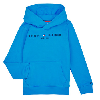 textil Barn Sweatshirts Tommy Hilfiger ESTABLISHED LOGO Blå