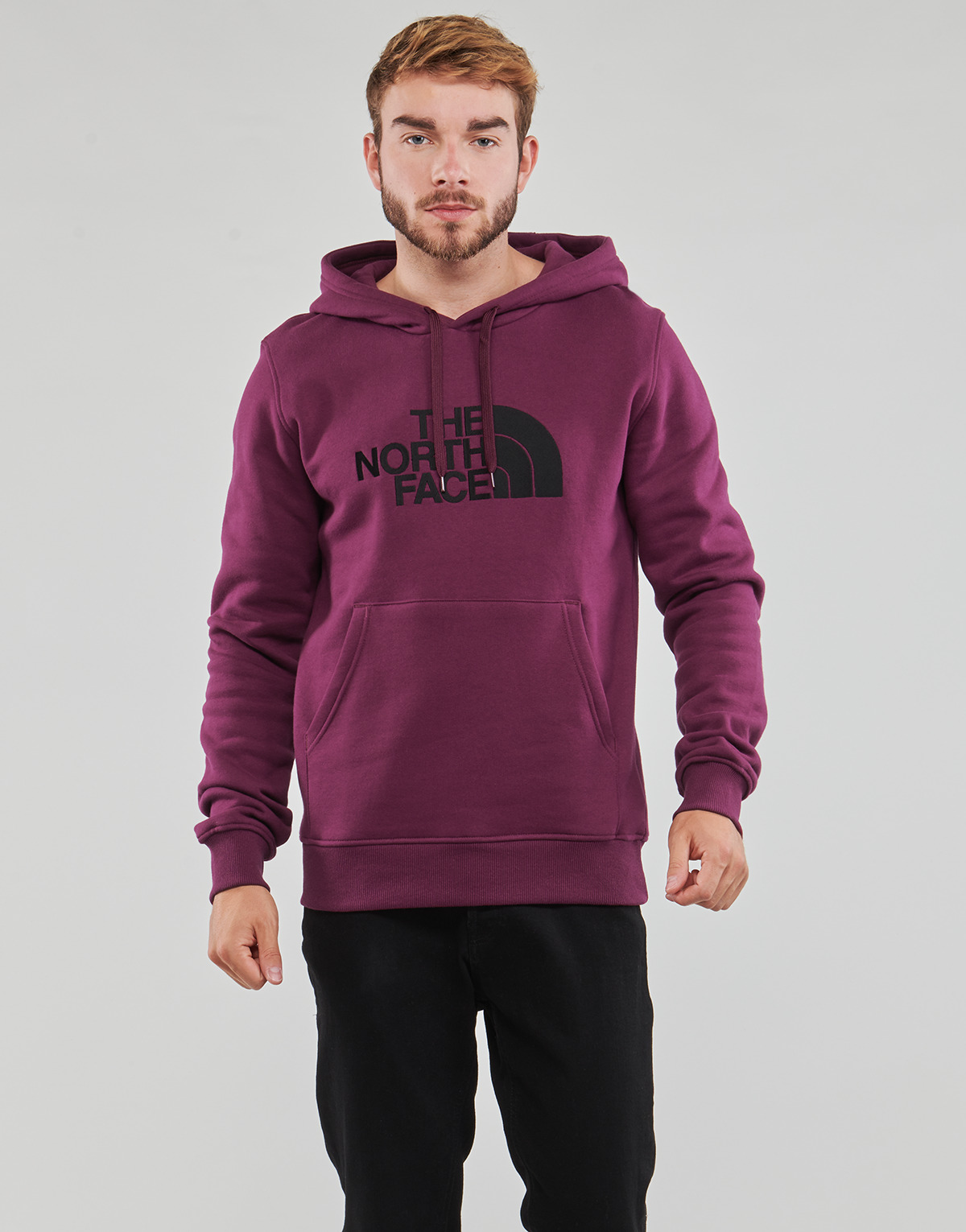 textil Herr Sweatshirts The North Face Drew Peak Pullover Hoodie - Eu Violett