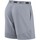 textil Herr Shorts / Bermudas Nike  Grå
