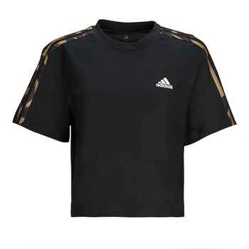 textil Dam T-shirts Adidas Sportswear VIBAOP 3S CRO T Svart / Guldfärgad