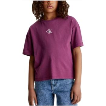 textil Flickor T-shirts Calvin Klein Jeans  Violett