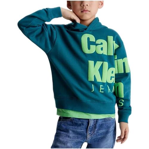 textil Pojkar Sweatshirts Calvin Klein Jeans  Grön