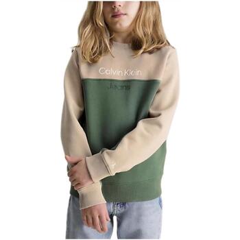 textil Pojkar Sweatshirts Calvin Klein Jeans  Flerfärgad