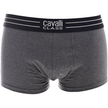 Underkläder Herr Boxershorts Roberto Cavalli QXO01B JD003 Grå