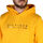 textil Herr Sweatshirts Tommy Hilfiger mw0mw29301 zew yellow Gul