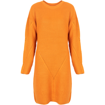 textil Dam Korta klänningar Silvian Heach PGA22285VE Orange