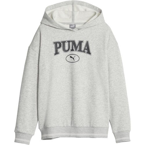 textil Flickor Sweatshirts Puma 219652 Grå