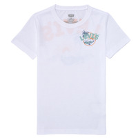 textil Pojkar T-shirts Levi's SCENIC SUMMER TEE Flerfärgad / Vit