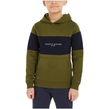 textil Pojkar Sweatshirts Tommy Hilfiger  Grön