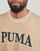 textil Herr T-shirts Puma PUMA SQUAD BIG GRAPHIC TEE Beige