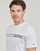 textil Herr T-shirts Tommy Hilfiger MONOTYPE STRIPE Vit