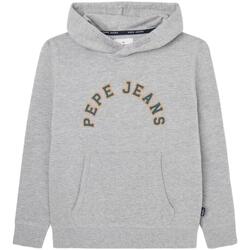 textil Pojkar Sweatshirts Pepe jeans  Grå