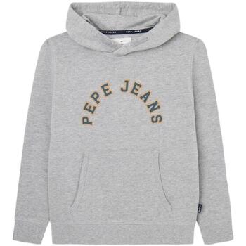 textil Pojkar Sweatshirts Pepe jeans  Grå