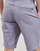 textil Herr Shorts / Bermudas Volcom FRCKN MDN STRCH SHT 21 Violett