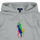 textil Barn Sweatshirts Polo Ralph Lauren PO HOOD-KNIT SHIRTS-SWEATSHIRT Grå