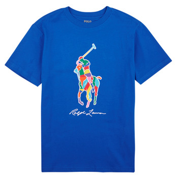 textil Pojkar T-shirts Polo Ralph Lauren SS CN-KNIT SHIRTS-T-SHIRT Blå / Heritage / Blå