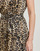 textil Dam Korta klänningar Guess SL ROMANA FLARE Leopard