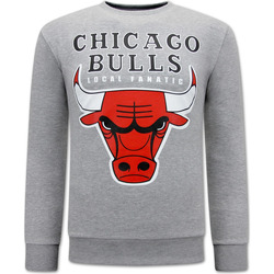 textil Herr Sweatshirts Local Fanatic Chicago Bulls Herr Grå