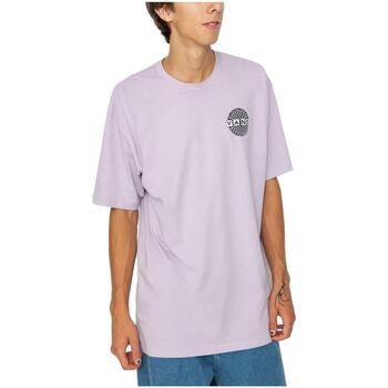 textil Herr T-shirts Vans  Violett