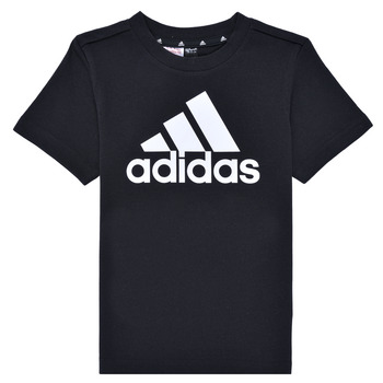 Adidas Sportswear LK BL CO TEE Svart / Vit