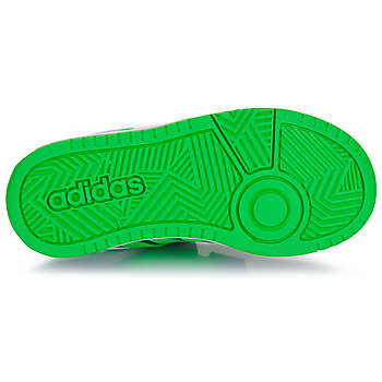 Adidas Sportswear HOOPS 3.0 CF C Blå / Grön