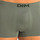 Underkläder Herr Boxershorts DIM D05HH-AQ9 Grön