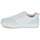 Skor Flickor Sneakers Polo Ralph Lauren POLO COURT II Vit / Flerfärgad