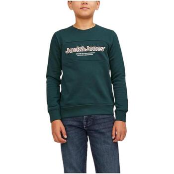 textil Pojkar Sweatshirts Jack & Jones  Grön