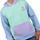 textil Herr Sweatshirts Superb 1982 RSC-S2106-MULTICOLOR Flerfärgad