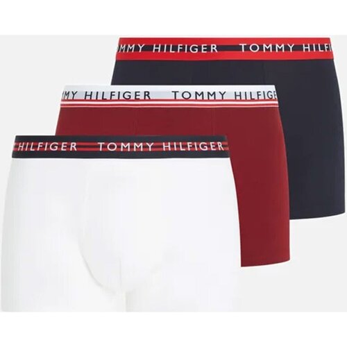 Underkläder Herr Boxershorts Tommy Hilfiger UM0UM03007 Flerfärgad