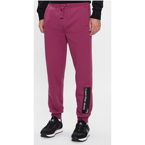 textil Herr Joggingbyxor Calvin Klein Jeans J30J324053 Violett