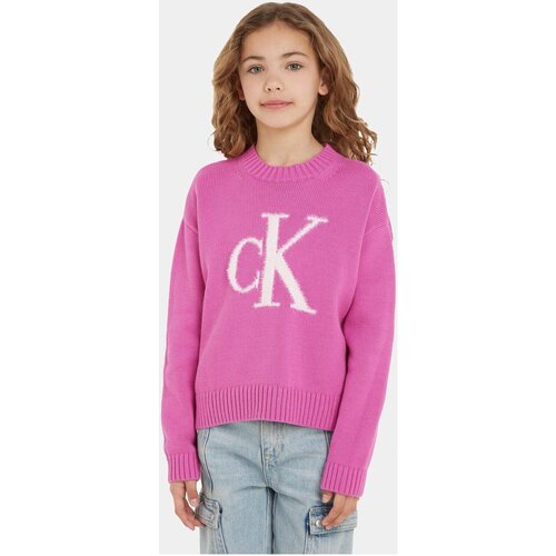 textil Barn T-shirts & Pikétröjor Calvin Klein Jeans IG0IG02220 Violett