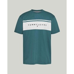 textil Herr T-shirts Tommy Hilfiger DM0DM18658CT0 Grön