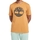 textil Herr T-shirts Timberland 227621 Brun