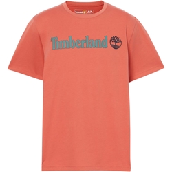 textil Herr T-shirts Timberland 227446 Orange