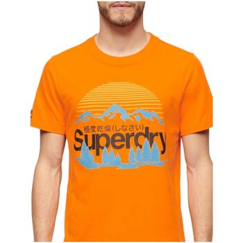 Superdry  Orange