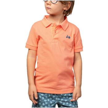 textil Pojkar T-shirts Scotta  Orange