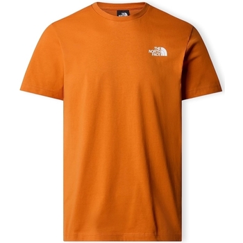 textil Herr T-shirts & Pikétröjor The North Face Redbox Celebration T-Shirt - Desert Rust Orange