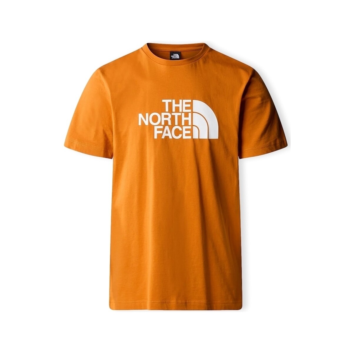 textil Herr T-shirts & Pikétröjor The North Face Easy T-Shirt - Desert Rust Orange
