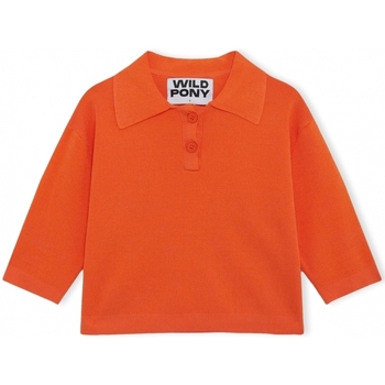 textil Dam Tröjor Wild Pony Knit 10604 - Orange Orange