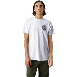 textil Herr T-shirts Santa Cruz  Vit