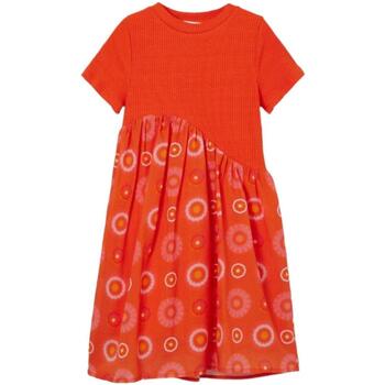 textil Flickor Klänningar Desigual  Orange
